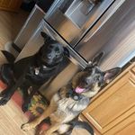 Paula Capps Bryson - @paula.bryson.773 - Instagram