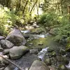 Paula Budd361 - @paulabudd361 - TikTok