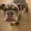 Paula budd - @paula_lipstick - TikTok