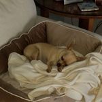 Paula Buddington - @paulabuddington - Instagram