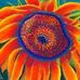 Paula Bunch - Facebook