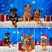 Paula Chadwick Kellam - Facebook