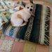 Paula Chrisman - Facebook