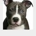 Paula Chrisman - Facebook