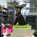 Paula Chrisman - Facebook