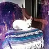 paulachrisman362 - @paulachrisman362 - TikTok