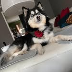 Paula Clark Fischinger - @fischingerpaula - Instagram