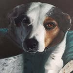 Paula Clow - @paula.clow.artist - Instagram