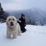 Paula L Colburn Genereux - @paulalcolburn - Instagram