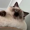 paula.colbourne - @paula.colbourne - TikTok