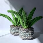 Paula Coles - @prairie_yarn_creations - Instagram
