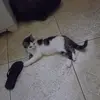paulacomper735 - @paulacomper735 - TikTok