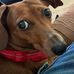 Paula Conner - Facebook