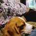 Paula Conover - Facebook