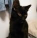 Paula Conover - Facebook