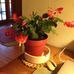 Paula J Conover - Facebook