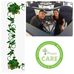Paula Conte - Facebook