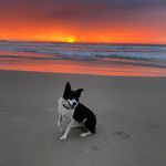 Paula Copeland - @paula.copeland.5680 - Instagram