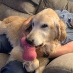 Paula Ramsey Creech - @paula_creech - Instagram