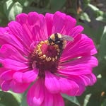 Paula Crews Callaway - @lovecreekranch - Instagram
