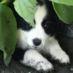 Paula Duffy Crossley - @crackerhill1950 - Instagram