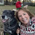 Paula Crowder Karasek - @paulakarasek - Instagram