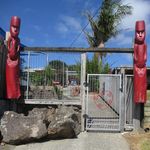 Paula Crump - @tekamokindergarten - Instagram