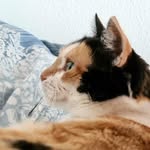 Paula - @paula_cuddlebug - Instagram