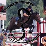Jack and Paula Curtis Horsemanship - @jackandpaulacurtishorsemanship - Instagram