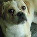 Paula Darrow - Facebook