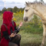 Paula Darwinkel Photography - @paula_darwinkel - Instagram