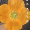 Paula Dean - @user4108710135394 - TikTok