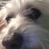 Paula Dean - @paula.dean06 - TikTok