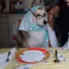 Paula De Filippo Roia - @paula.de.filippo - TikTok