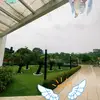 Paula Defilippo - @pauladefilippo67 - TikTok