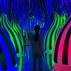 Paula Devita - Facebook