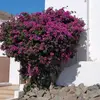 Paula Devita Lopez - @pau_santi - TikTok