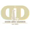 pauladewitt722 - @dogs_and_daisies - TikTok