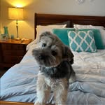 Paula Dodd - @paulajeandodd - Instagram