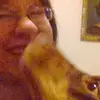 pauladodge2 - @pj69164 - TikTok