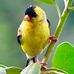 Paula Doerr - Facebook
