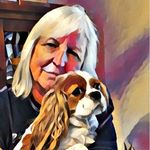 Paula K. Dolin - @pk543 - Instagram