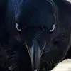 pauladonaldsondic - @pauladonaldsondic - TikTok