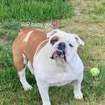 Paula O'donegan - @paula_odonegan66 - Instagram