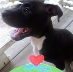 Paula Dorman - Facebook