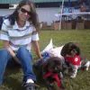 pauladorman688 - @pauladorman688 - TikTok