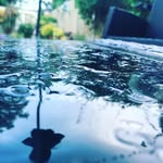Paula Drew - @pauladrew7252 - Instagram