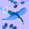 pauladuke59 - @pauladuke59 - TikTok