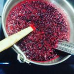 Paula Dunne - @paula5bakes - Instagram