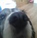 Paula Dutton - Facebook